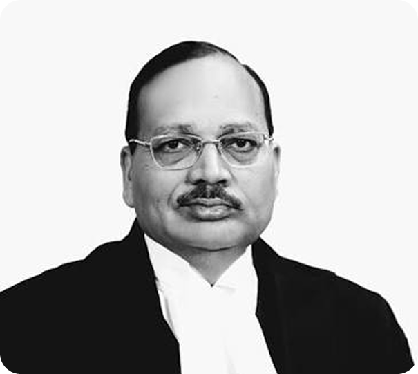 Hon'ble Mr. Justice Surya Kant
